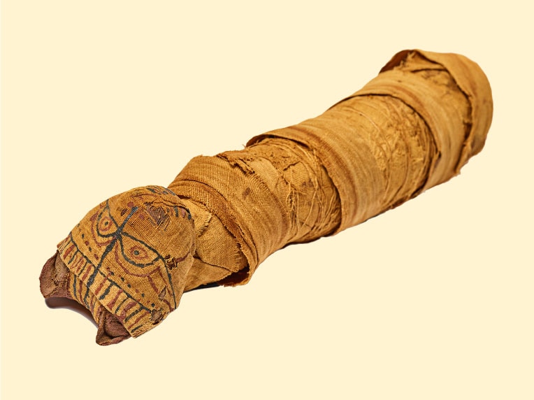 Ancient Egyptian mummified cat